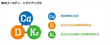 骨のゴールデン・トライアングル