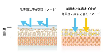 合成ポリマー入り化粧品でインナードライ肌