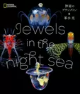 写真集 「Jewels in the night sea 神秘のプランクトン」