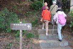 img_327251_2.jpg