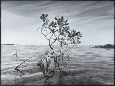 Arnold Lalongisip, Wonderment (2022)