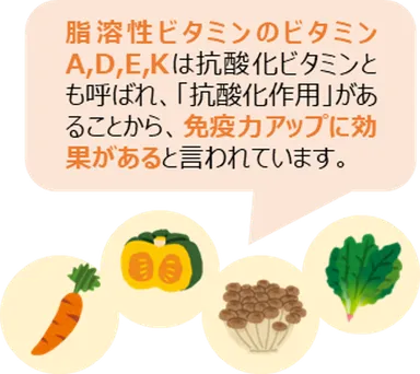 脂溶性ビタミン