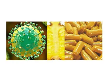 コロナウイルス・パイナップル芯・ウコンカプセル