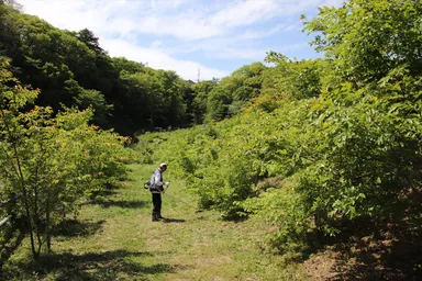 里山ゾーンの様子