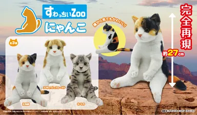 すわっちぃZooにゃんこ