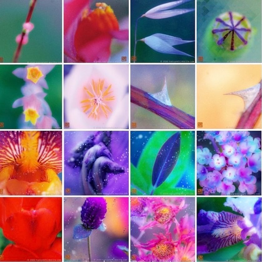 東京のアートレンタル専門店「Art beans」が“芸術の秋”の
新プラン「アートまるっとおまかせプラン♪」を開始