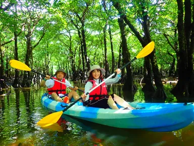 マングローブツアーも大好評開催中