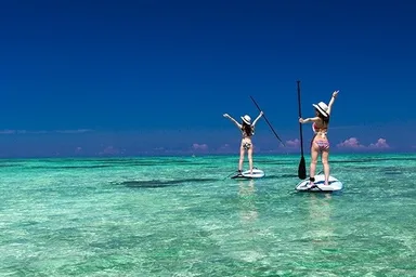 お昼のツアーも開催中。