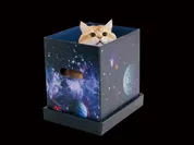 宇宙猫製造BOX-1