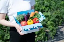 SMART CARTON(R)ふるさと