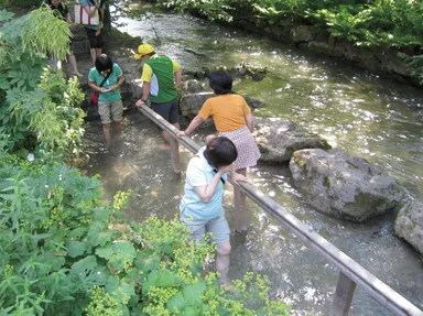 冷刺激(クナイプ)足