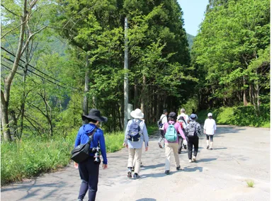 気候療法ウォーキング4(富山)