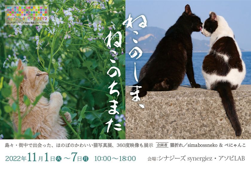 大分県別府市にて「ねこのしま、ねこのちまた」写真展を開催 VRヘッドセットで視聴する360度動画も展示! プレスリリース コラム| ニューズウィーク日本版 オフィシャルサイト 大分県別府市にて「ねこのしま、ねこのちまた」写真展を開催 VRヘッドセットで視聴する360度動画も展示! プレスリリース コラム| ニューズウィーク日本版 オフィシャルサイト