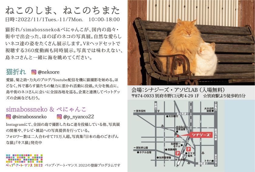 大分県別府市にて「ねこのしま、ねこのちまた」写真展を 開催 VR