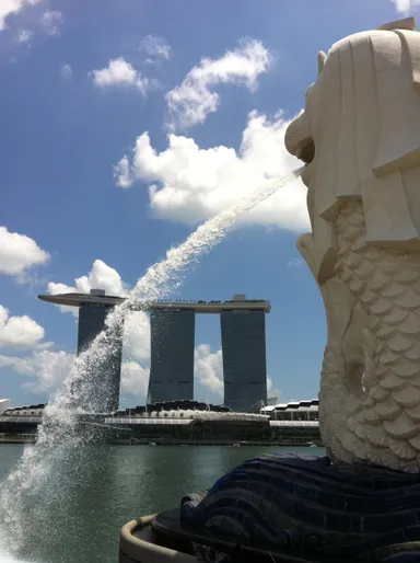 イメージ写真(3)