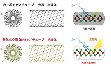 図1　カーボンナノチューブとBNナノチューブ
