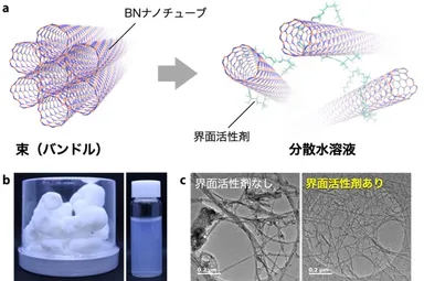 図1　(a)界面活性剤を用いたBNナノチューブの分散、(b)BNナノチューブの固体(左)と分散液(右)、(c)分散したBNナノチューブのネットワーク