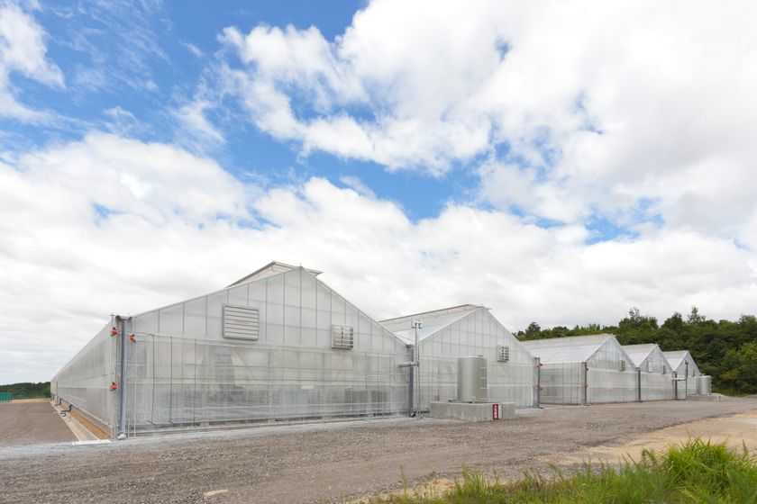 AIと動画解析の技術を活用した
トマトの収穫量予測を実施