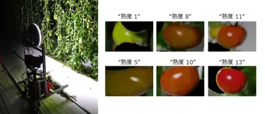 動画撮影の様子（夜間）