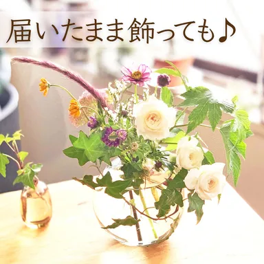 届いたまま飾っても♪