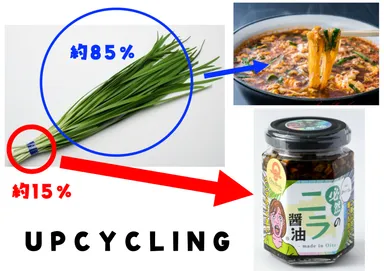 アップサイクル 部位