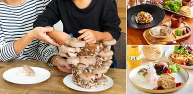 「秋のきのこフェア」イメージ