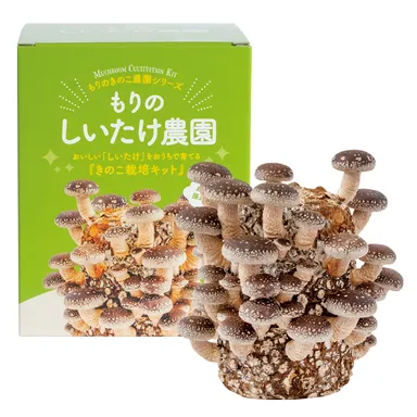 もりのしいたけ農園