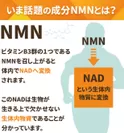 いま話題の成分NMNとは？