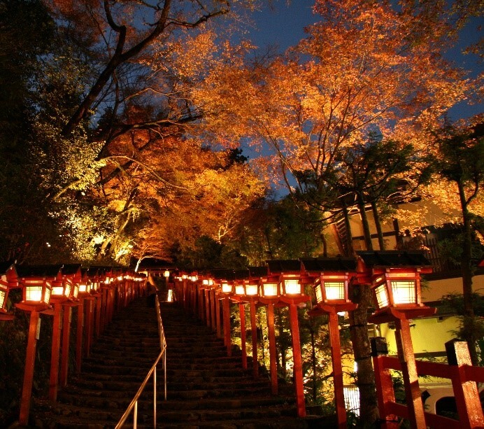 ～ 秋の夜空を彩る紅葉のライトアップ ～
11月5日（土）～27日（日）に
「京の奥座敷・貴船もみじ灯篭」 を開催します  – Net24