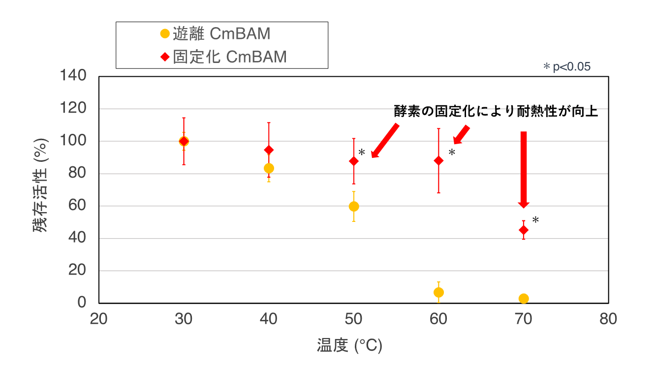 アミラーゼ の 数値 が 高い