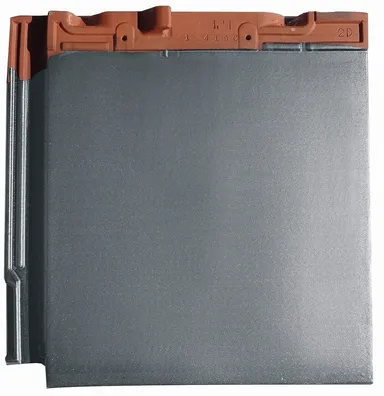 新製品単体(銀鱗色)