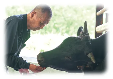 オリーブ牛生産者とオリーブ牛