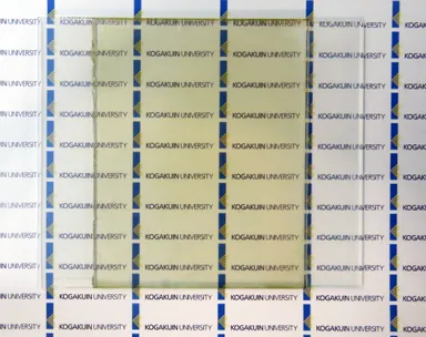 永井 裕己 准教授らにより作られた全固体型透明薄膜太陽電池