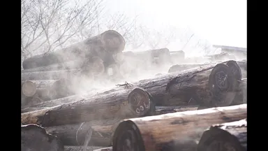 樹齢100年の小国杉を使用