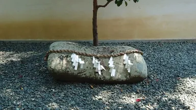 磐座　伊邪那美尊(浮嶋神社様　中庭)