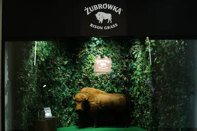 2019年のイベントの様子_1