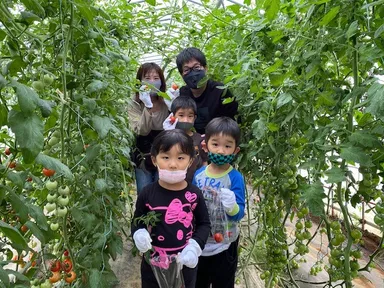 収穫体験もできます