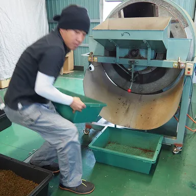 地紅茶生産者(知覧心茶堂)