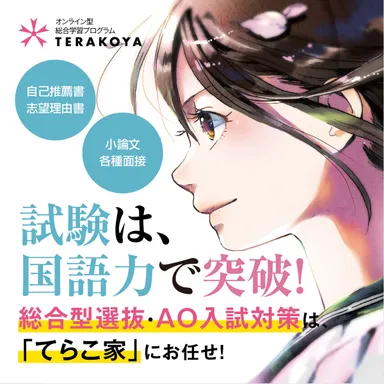 大学入試小論文対策イメージ