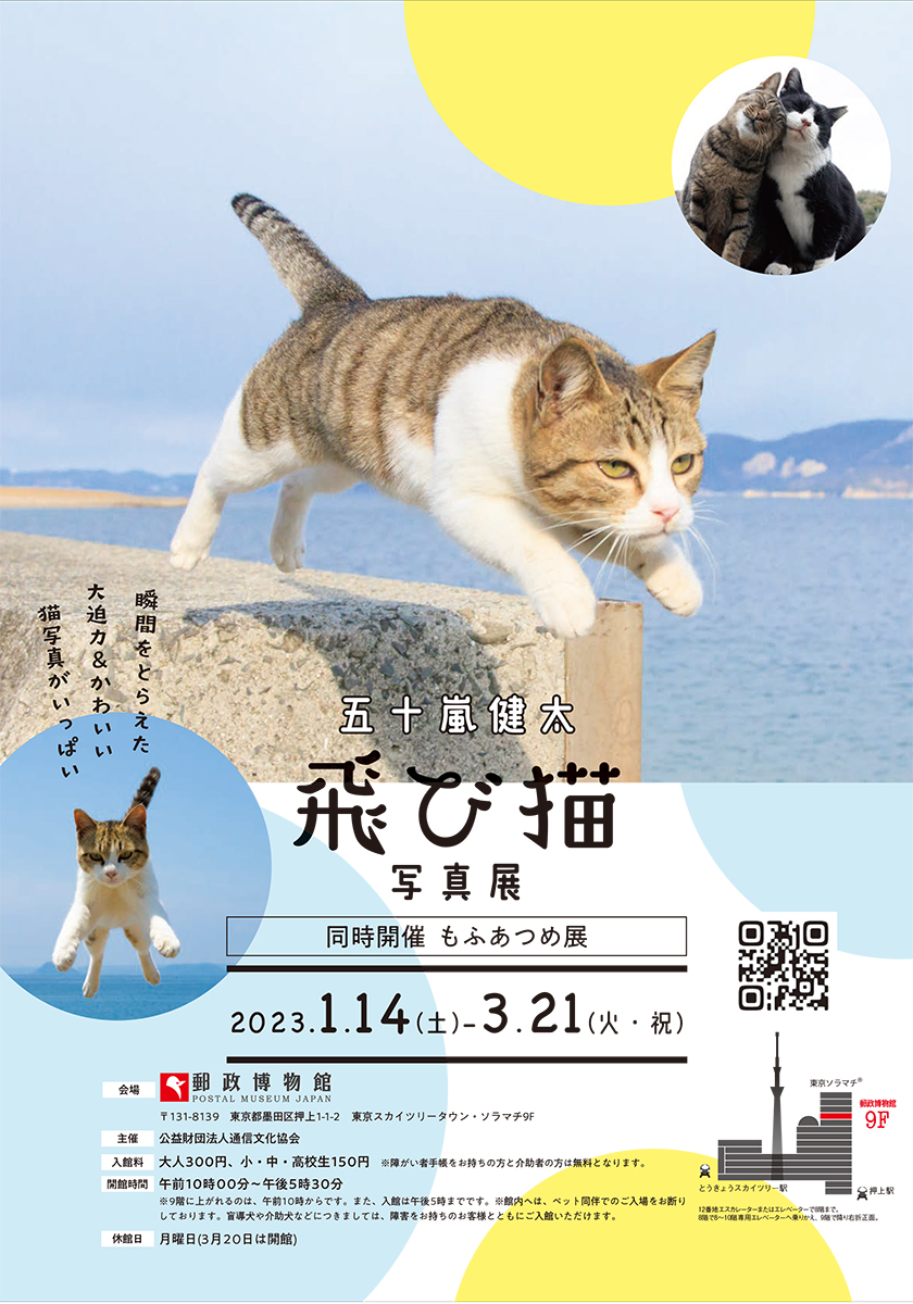 五十嵐 健太「飛び猫写真展」を2023年1月14日から郵政博物館で開催｜飛び猫合同会社のプレスリリース
