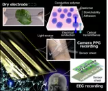 生体ドライ電極と薄膜センサシートのイメージ図　(EEG: Electroencephalogram、脳波図。PPG: Photo-plethysmogram、光電式容積脈波図。)