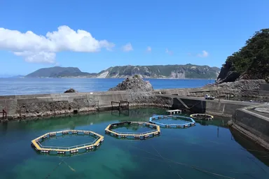式根島養殖場