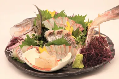 「式根鯛平君」お刺身