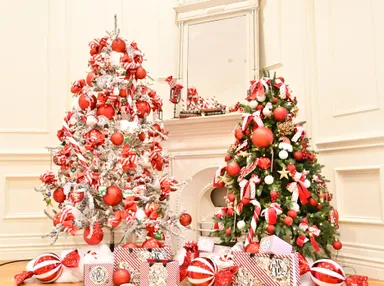 レッド＆ホワイトツリー1