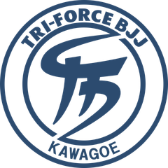 株式会社トライフォース、STFネットワークス合同会社