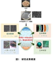 図1 研究成果概要