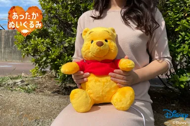 あったかぬいぐるみ ディズニーキャラクターズ　くまのプーさん(イメージ2)