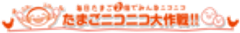 一般社団法人日本養鶏協会、一般社団法人日本卵業協会、たまニコ実行委員会のロゴ