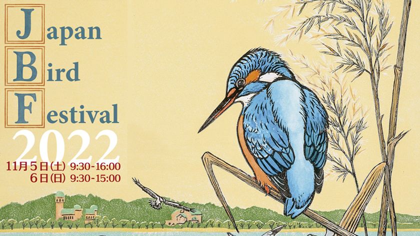 最高品質にこだわる光学製品メーカー「スワロフスキー・オプティック」が『ジャパン・バード・フェスティバル2022』に出展!