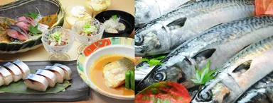 全店共通メニュー　極上さば料理コース　￥3,800(税込)